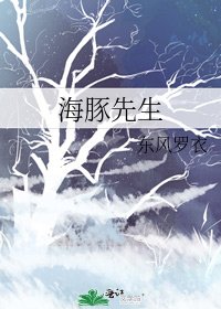 海豚先生